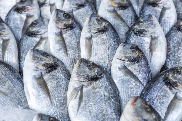 Schön angelegter Fisch auf der Theke — Stockfoto