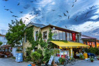 İstanbul, Türkiye, 24.05.2019: Akşam ışıklarında Prens Adası'nda güzel ev kuşlarla çevrili.