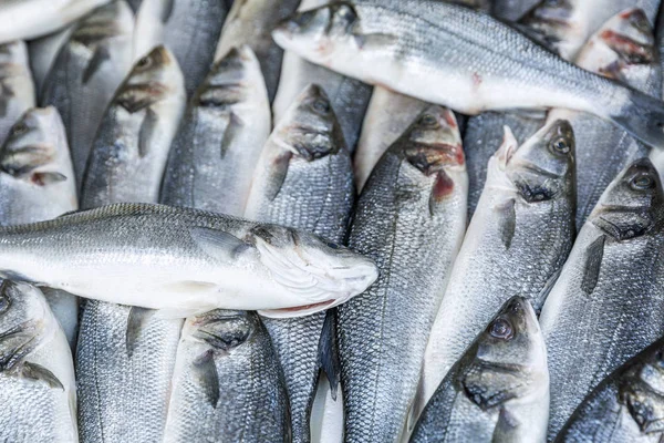 Fisch auf der Theke auf dem Markt. Nahaufnahme. Hintergrund. Raum für Text. — Stockfoto