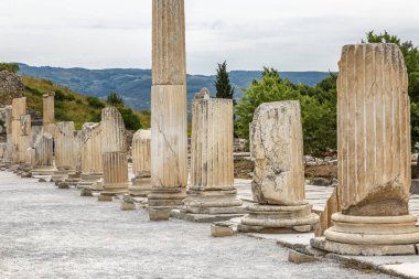 Efes'teki antik kalıntılar. Güzel manzara, güneşli bir gün.