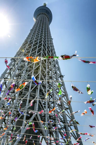 日本东京，2019年4月13日：在阳光明媚的日子里，天空之塔树的美丽景色与蓝天。特写 — 图库照片