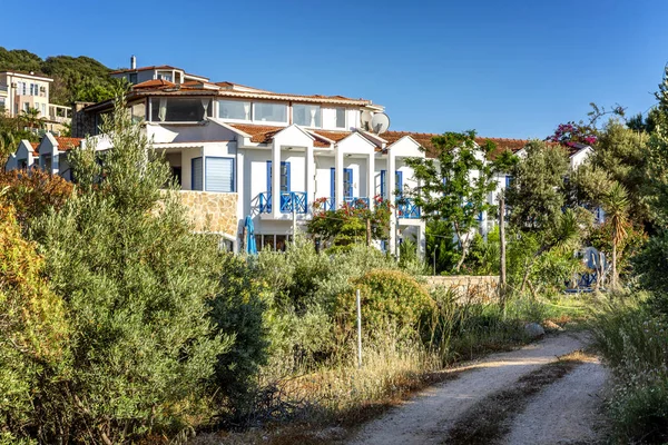 Yol boyunca yeşil ağaçlarda güzel evler. Güneşli bir günde tatil şehri.