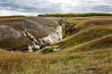 Çok renkli çimenler ile güzel sonbahar ocağı. Muhteşem landsccape.