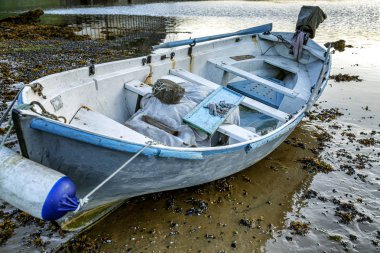 Sahilde terk edilmiş eski bir tekne. Kasvetli kuzey doğası.