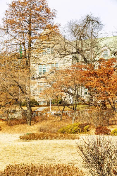 Όμορφο φθινοπωρινό πάρκο. Χρυσά φύλλωμα. Πανέμορφο τοπίο. — Φωτογραφία Αρχείου