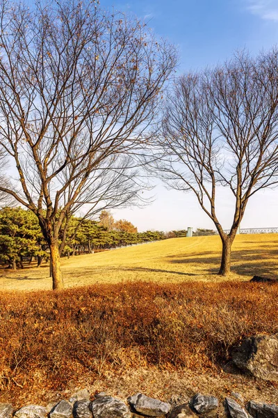 Wunderschöner Herbstpark. Farbenprächtige Landschaft. — Stockfoto