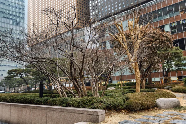 Seoul, Südkorea, 30.12.2017: Moderne Hochhäuser in der Innenstadt. Winterlandschaft.Nahaufnahme. — Stockfoto