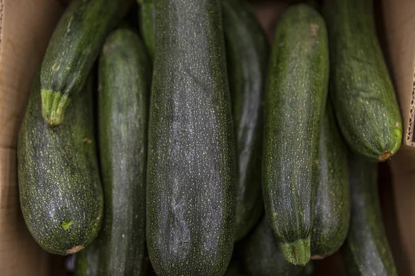 Zucchini zucchini i en låda i en stormarknad. Närbild. — Stockfoto