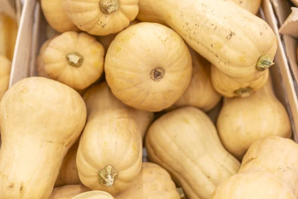 Zucche nella scatola al supermercato. Primo piano. Contesto. Spazio per testo . — Foto Stock