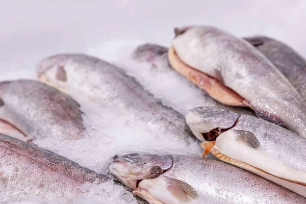 Gekochter frischer Fisch auf Eis im Supermarkt. Nahaufnahme. — Stockfoto