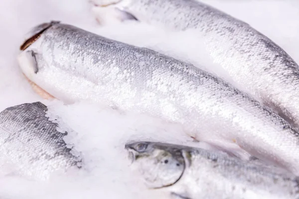 Gekochter frischer Fisch auf Eis im Supermarkt. Nahaufnahme. — Stockfoto