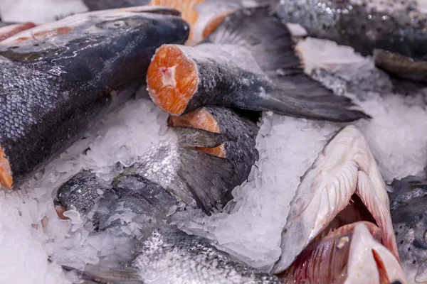 Gekochter frischer Fisch auf Eis im Supermarkt. Nahaufnahme. — Stockfoto