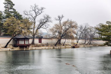 Kış aylarında Seul 'de güzel bir park. Frozen Pagoda gölet. Muhteşem soğuk manzara.