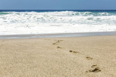 Turkuaz denizin kumlu kıyısında ayak izleri. Açık güneşli gün. mavi gökyüzü. Metin alanı.