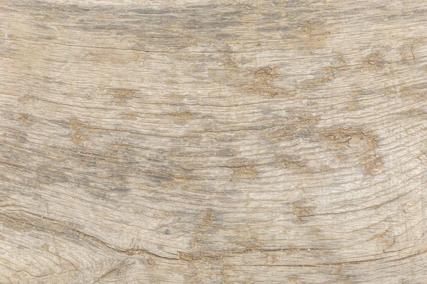 Ağaç gövde dokusu yüzeyi. Close. Arka plan. Metin, yazıtlar için alan.