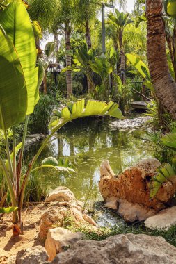 Güzel bir manzara ile bahçede Dekoratif gölet. 