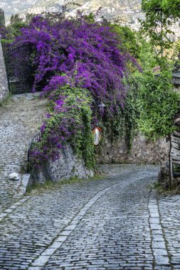 Güzel çiçekli ağaçlarla süslenmiş bir kalede yaya yolu üzerinde taş döşeme.