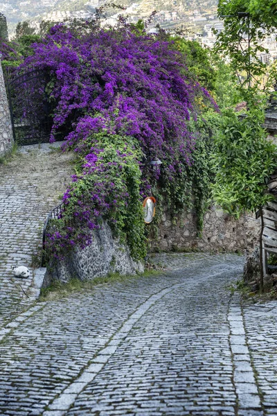 Güzel çiçekli ağaçlarla süslenmiş bir kalede yaya yolu üzerinde taş döşeme.