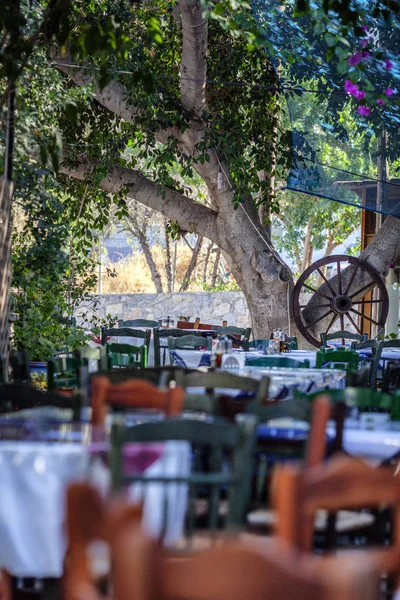 Tesiste şık bir şekilde dekore edilmiş açık hava kafesi.