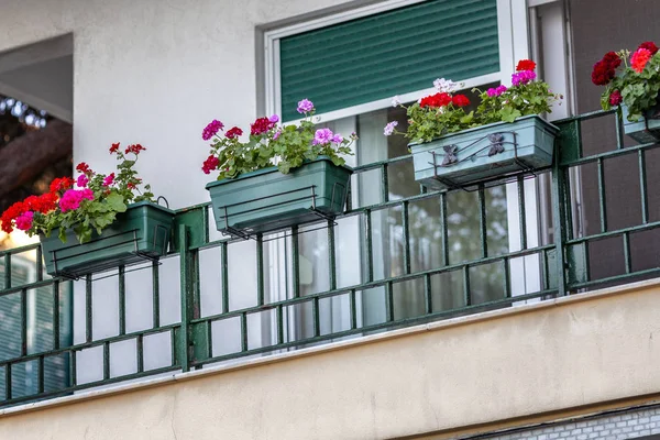 Uma varanda lindamente decorada com flores . — Fotografia de Stock
