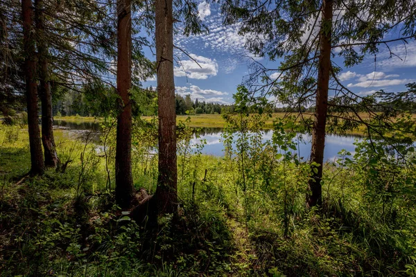 Parlak mavi gökyüzü ne kadar güzel, şeffaf bir orman gölü..