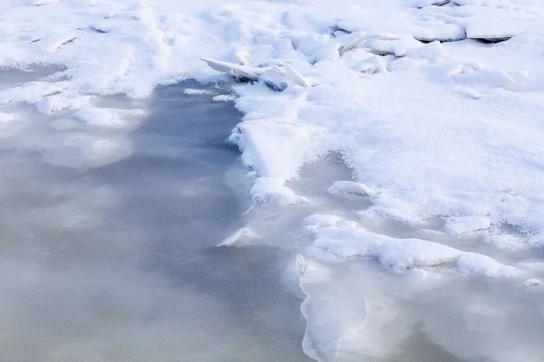 L'absinthe sur une rivière gelée. Gros plan . — Photo