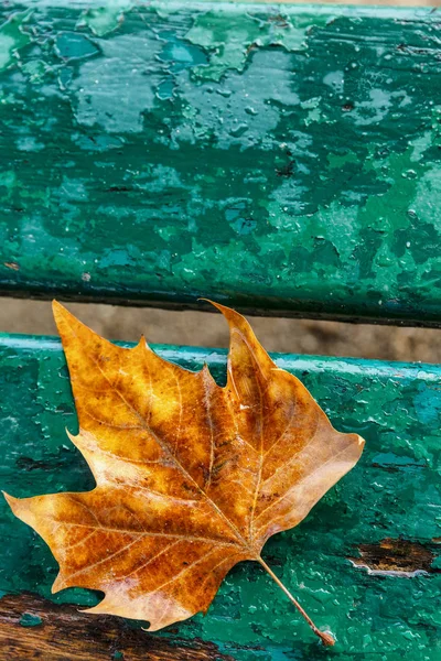 Feuille d'automne solitaire jaune sur un banc en bois turquoise. Contexte. Espace pour le texte. Gros plan . — Photo