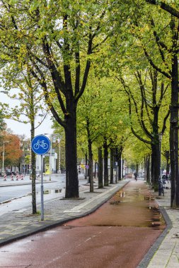 Amsterdam, Netherlands, 10/11/2019: Bicycle path in the city in an autumn landscape. 