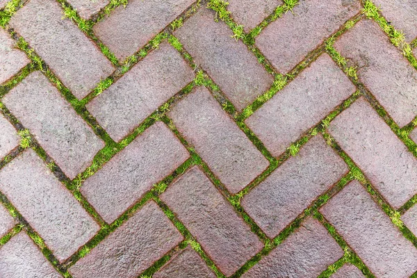 Schönes gemauertes Kopfsteinpflaster mit Gras, das in den Nähten sprießt. Nahaufnahme. Hintergrund. Raum für Text. — Stockfoto