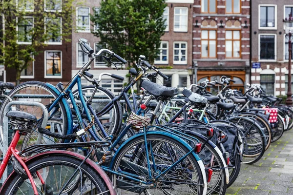 Parking à vélos à Amsterdam. Un mode de transport écologique populaire dans la ville . — Photo