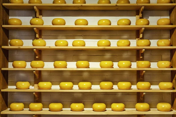 Models of cheese heads on shelves in a store. Beautiful interior.
