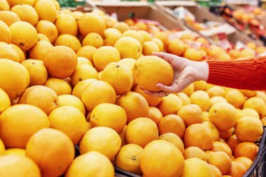 Süpermarketteki tezgahta duran sulu sarı portakallar. Bir kadın meyve seçer..