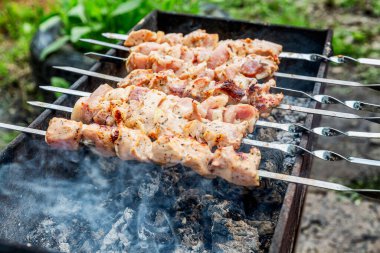 Et, doğada mangalda kızartılıyor. Yakın plan. Açık hava aktiviteleri ve sağlıklı beslenme.