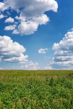 Parlak mavi bulutlu gökyüzüne karşı yeşil alan. Geçmişi. Mesaj için yer var. Dikey.