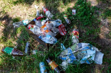 Moskova, Rusya, 27 / 06 / 2020: Ormandaki bir çöp yığını. Ekoloji sorunları. Yakın plan..