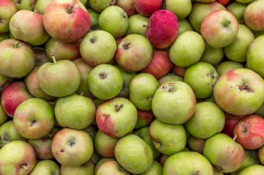 Mağazadaki tezgahta bir sürü olgun sulu elma var. Diyet ve sağlıklı beslenme. Üst görünüm.