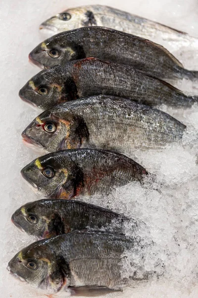 Frischer Silberfisch Auf Eis Auf Der Theke Ernährung Und Gesunde — Stockfoto