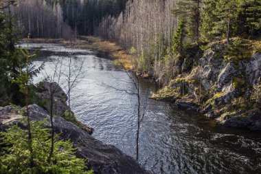 Orman nehri. Güzel manzara. Vahşi Karelya doğası.