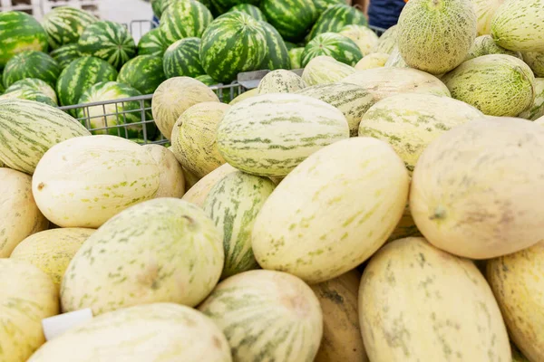 Arbuzy Melony Supermarkecie Duży Wybór Jagód Sezonowych — Zdjęcie stockowe
