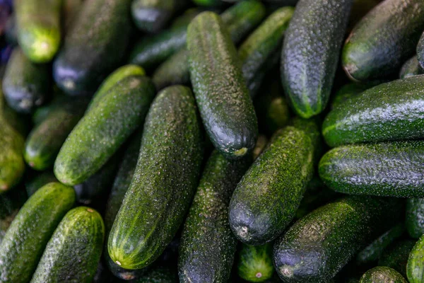 Tezgahta bir sürü taze salatalık var. Vitaminler ve sağlıklı yiyecekler.