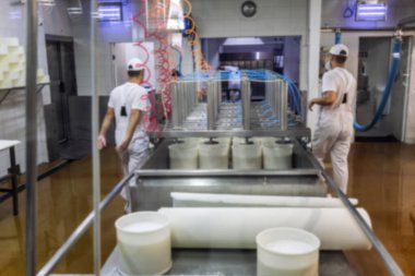 Peynir mandırasında peynir üretimi. Özel iş ve yemek sırları. 