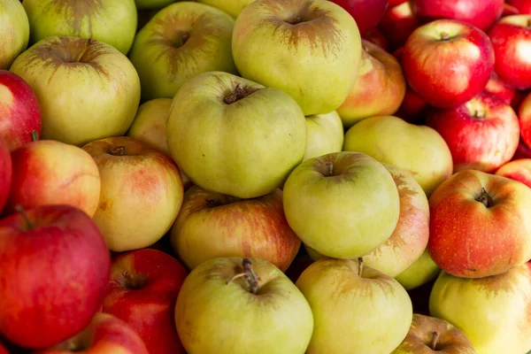 Montón Manzanas Jugosas Frescas Diferentes Colores Mostrador Alimentación Saludable Vegetarianismo — Foto de Stock