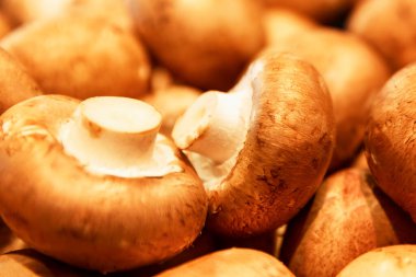 Mağazada bir sürü kraliyet şampiyonu var. Yakın plan..