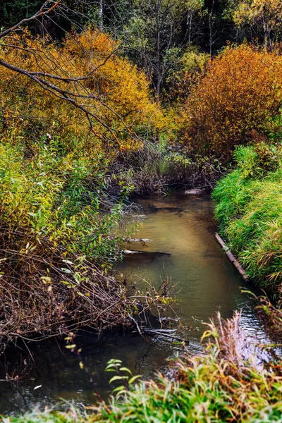 Rzeka Jasnym Wielobarwnym Jesiennym Lesie Piękny Krajobraz Pionowe — Zdjęcie stockowe