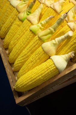 Satırları güzel yeşil için kesmek ile pişmemiş sarı Mısır dükkanında görüntülemek. Doku ve arka plan görüntü kadar kapalı.