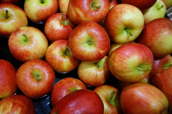 Вкусные красные, желтые и зеленые яблоки в качестве фона
