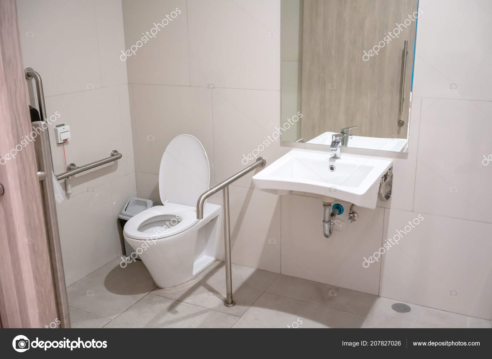 Interior Restroom Elderly Senior People Lavatory Toilet Bowl