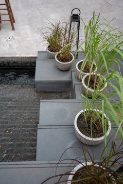 Beton merdiven basamakları beyaz daire kapsayıcı dikim. Peyzaj Tasarım detay.