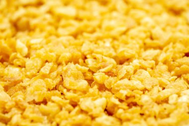 Derin sarımsak yemek arka plan için alan sığ derinliği ile ateş.