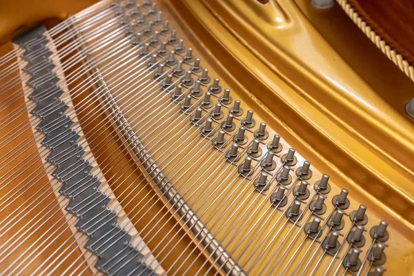 Grand piano strings. Piano inside with the shallow depth of field.